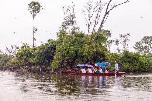  Du khách tham quan đảo Cò